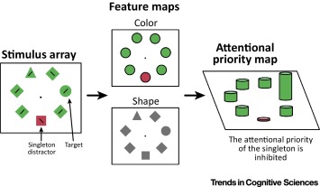 Modelling%20Selective%20Attention%20with%20Neural%20Networks%20a890565f4d164a2db97ca50250bb9e66/1-s2.0-S1364661317302395-gr3.jpg