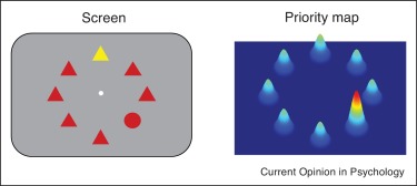 Modelling%20Selective%20Attention%20with%20Neural%20Networks%20a890565f4d164a2db97ca50250bb9e66/1-s2.0-S2352250X18301647-gr1.jpg