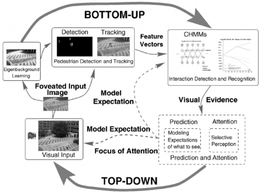 Modelling%20Selective%20Attention%20with%20Neural%20Networks%20a890565f4d164a2db97ca50250bb9e66/Top-down-and-bottom-up-processing-loop.png